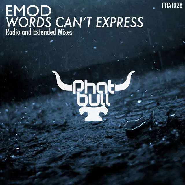 Words Can't Express - Radio Edit