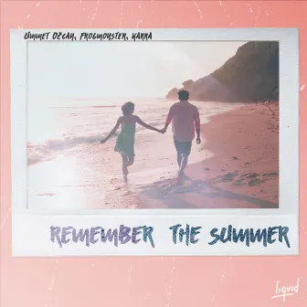 Remember the Summer (Acoustic) by Frogmonster