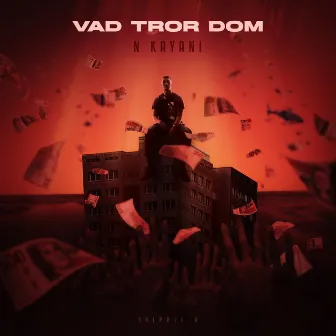 Vad Tror Dom by N Kayani