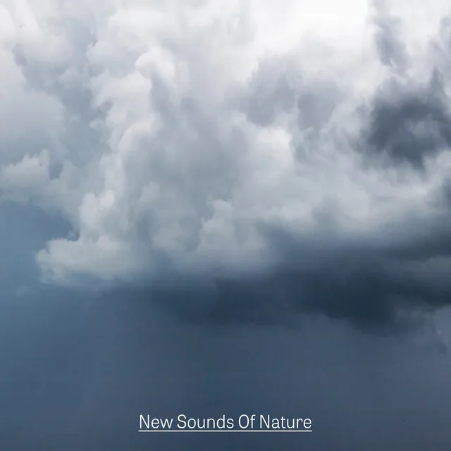 New Sounds Of Nature