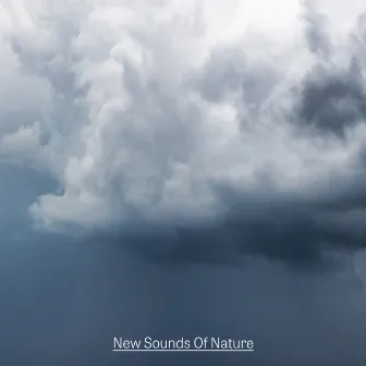 New Sounds Of Nature by New Sounds Of Nature