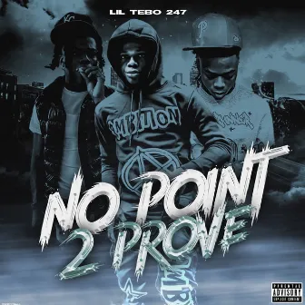 No Point To Prove by Lil Tebo 247