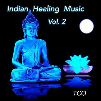 Indian Healing Music, Vol. 2 (Indian Music for Yoga, Meditation and Chill out, Performed on Indian Flutes, Tabla, Sitar, Drums and Chants) by TCO