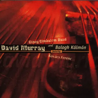 David Murray by Kálmán Balogh