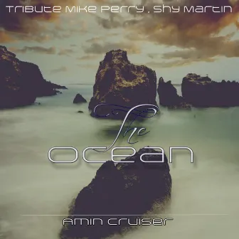 The Ocean (Tribute Mike Perry , Shy Martin) by Amin Cruiser