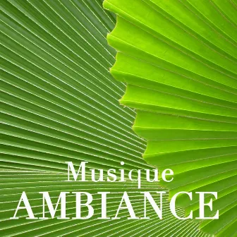 Musique Ambiance by Musique Ambiance Détente