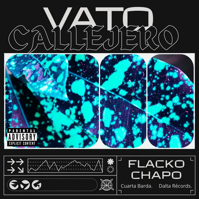 Vato Callejero