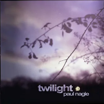 Twilight by Paul Nagle