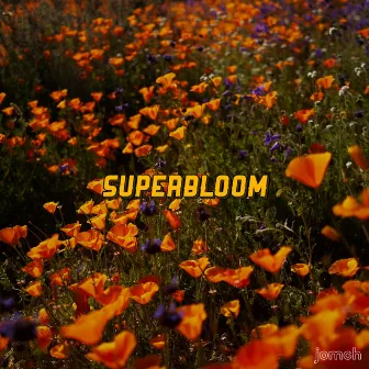 superbloom by jomch