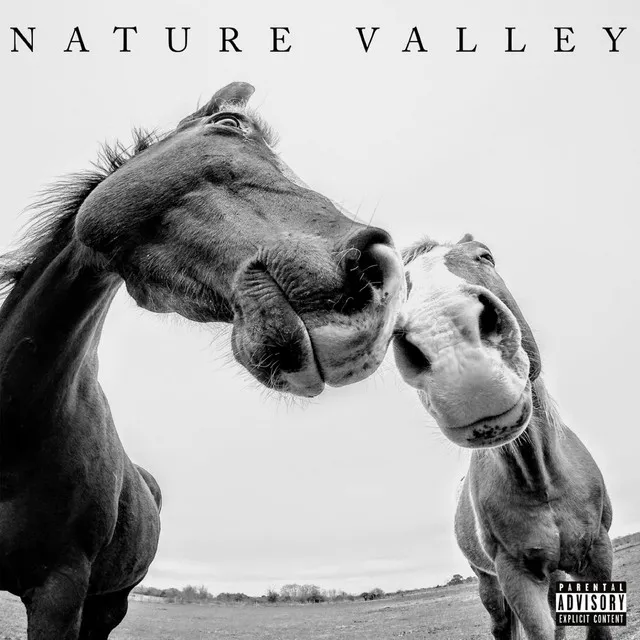 NATURE VALLEY (feat. KIMISWILD)