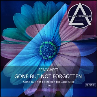 Gone but Not Forgotten by Remywest