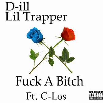 Fuck a Bitch by D-ill