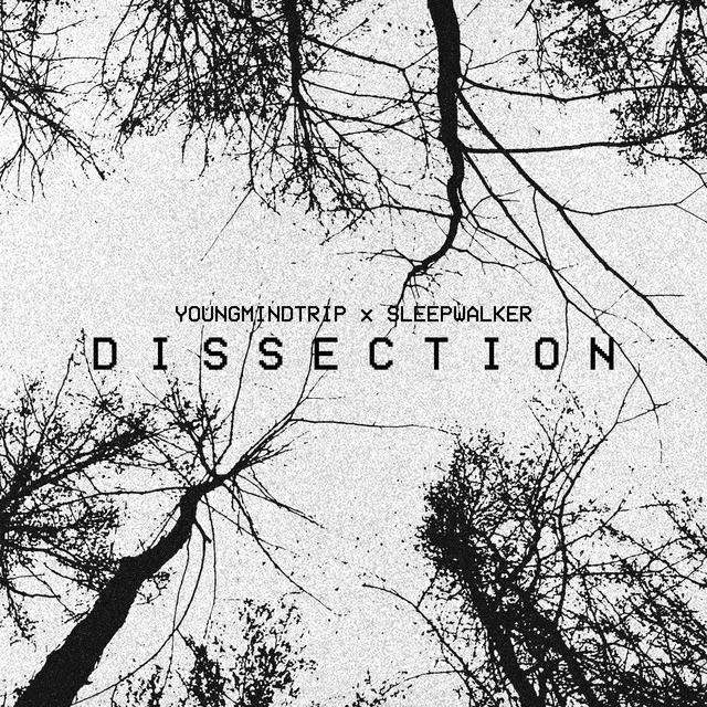 DISSECTION