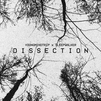 DISSECTION by DJ Lordmindtrip