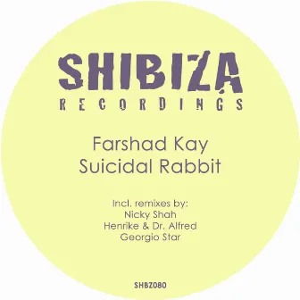 Suicidal Rabbit by Farshad Kay