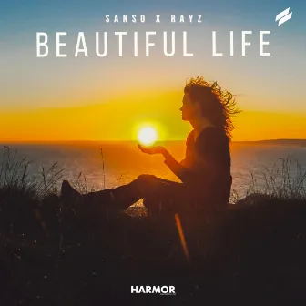 Beautiful Life by Rayz