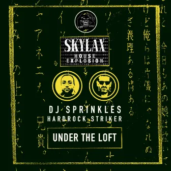 Skylax House Explosion - Under The Loft by DJ Sprinkles