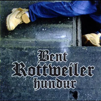 Rottweilerhundur by Bent