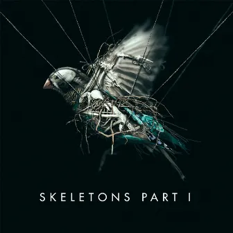 Skeletons: Part 1 by MISSIO