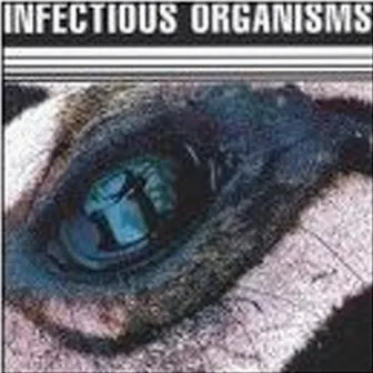 Infectious Organisms by Infectious Organisms