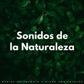 Sonidos De La Naturaleza: Música De Trabajo Y Piano Ambientales by Trabajando desde Casa Música