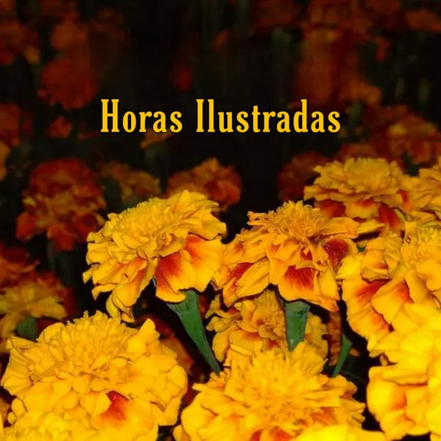 Horas Ilustradas