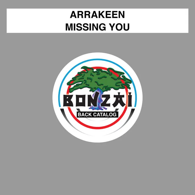 Missing You - Original Mix