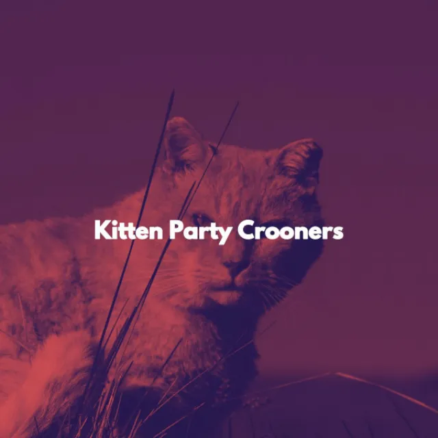 Kitten Party Crooners