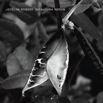 Signatura Rerum by Jocelyn Robert