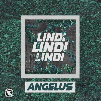 Lindi by angelus