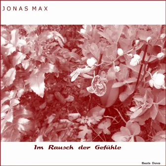 Im Rausch der Gefühle by Jonas Max