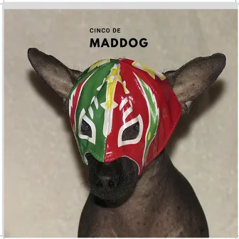 Cinco De Maddog by Maddog