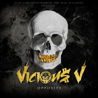 Opposite by Vicious V