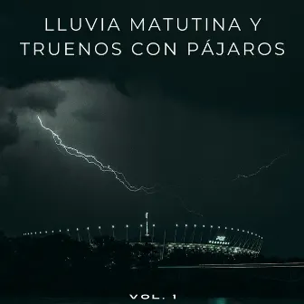 Lluvia Matutina Y Truenos Con Pájaros Vol. 1 by Pájaros y Pajaritos