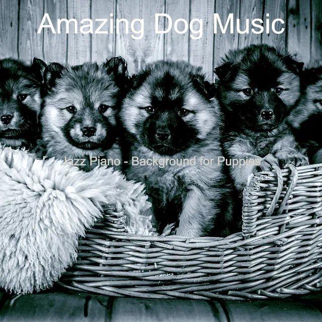 Sprightly Solo Piano Jazz - Vibe for Cute Dogs