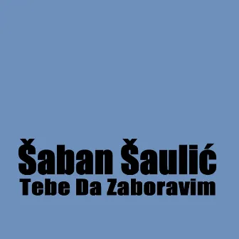 Tebe da zaboravim by Šaban Šaulić