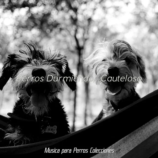 Música para Perros Colecciones