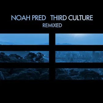 Third Culture Remixed by Noah Pred