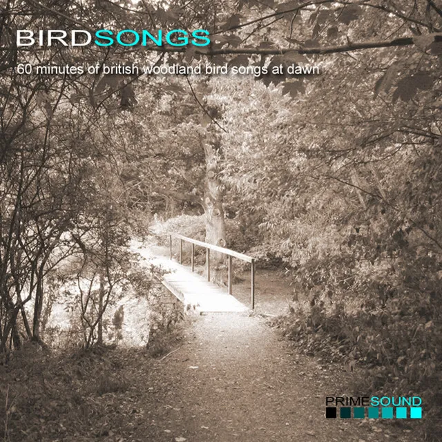 Bird Songs