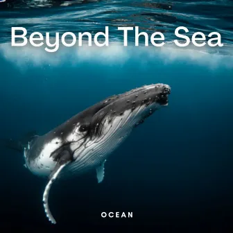 Ocean: Beyond the Sea by Sleeping Ocean