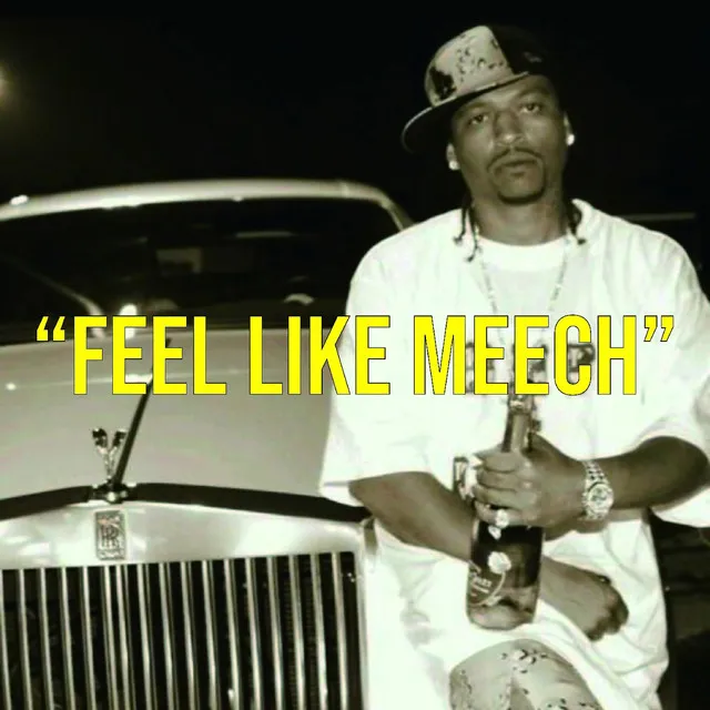 FEEL LIKE MEECH