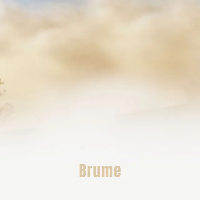 Brume