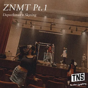 ZNMT, Pt.1 by Depre$snan