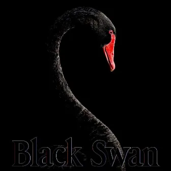 Black Swan by Dot TheVillain