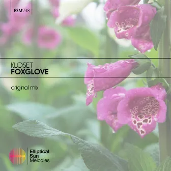 Foxglove by Kloset