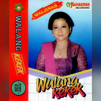 Keroncong Jawa Waldjinah Walang Kekek by Orkes Gema Puspita