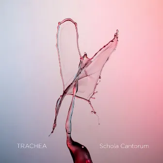 Trachea by Tone Bianca Sparre Dahl