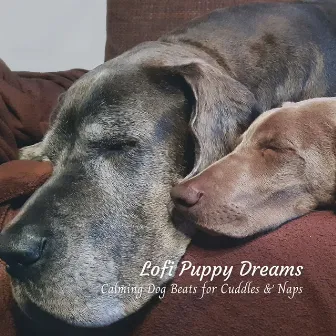 Lofi Puppy Dreams: Calming Dog Beats for Cuddles & Naps by Dog Music Jukebox