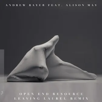 Open End Resource (Leaving Laurel Remix) by Andrew Bayer