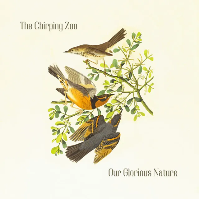 The Chirping Zoo